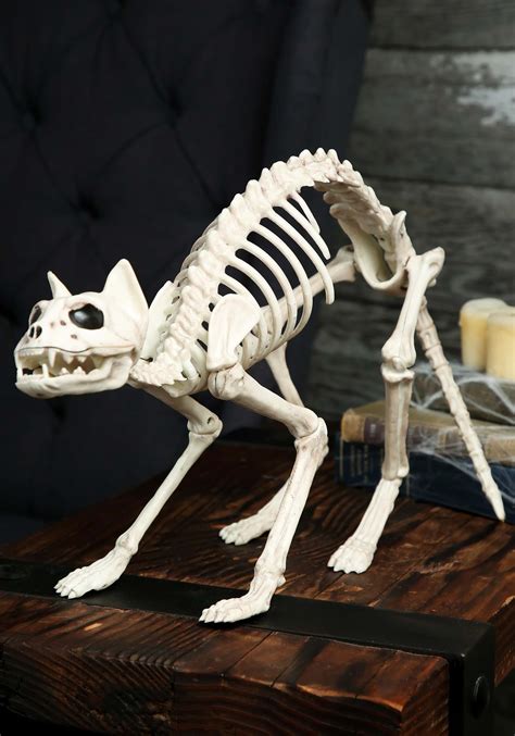 Typical 29. . Animal skeleton decoration